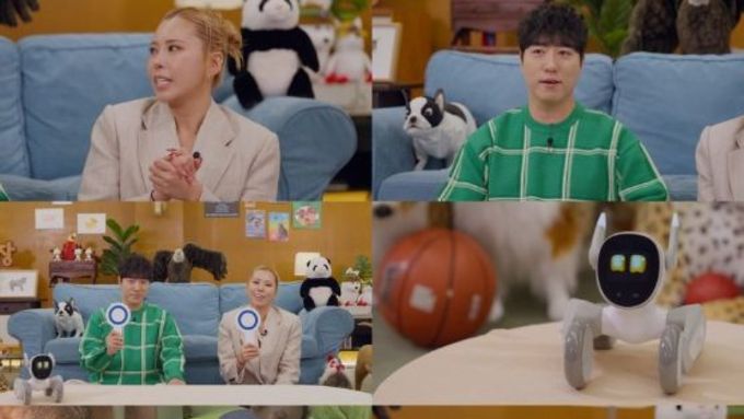 [SBS TV 동물농장] 진짜 사이 숨어든 가짜AI 동물 찾기!