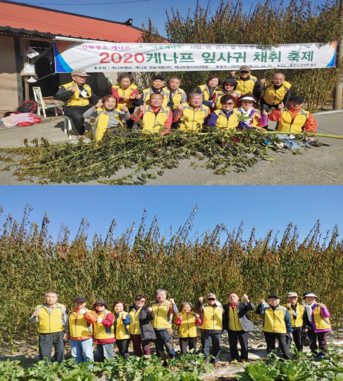 대부도 소재 케나프랜드 체험장