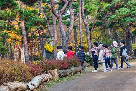 숲해설 체험 운영 프로그램