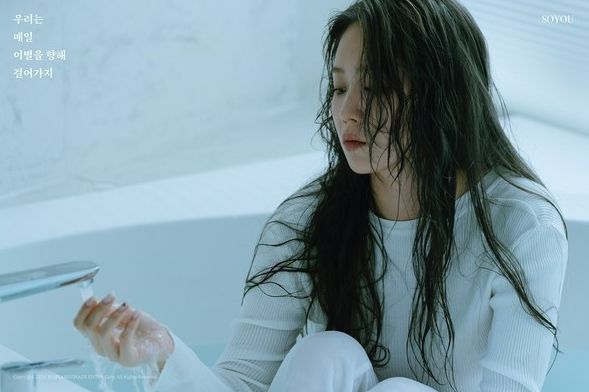 소유