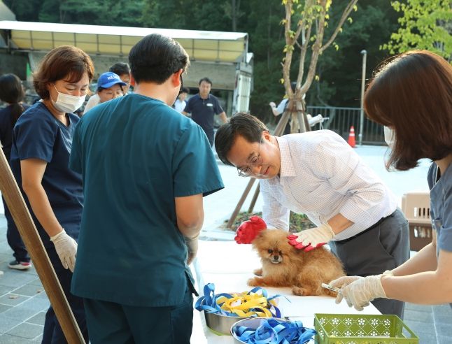 2일 오후 김동연 경기도지사가 화성 강아지번식장에서 학대받는 강아지들을 경기 반려마루로 이동시켜 보호와 치료를 받도록 하고있다.