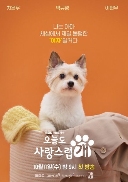 오늘도 사랑스럽개