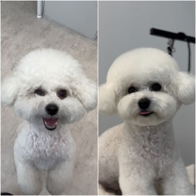 폴인몽237