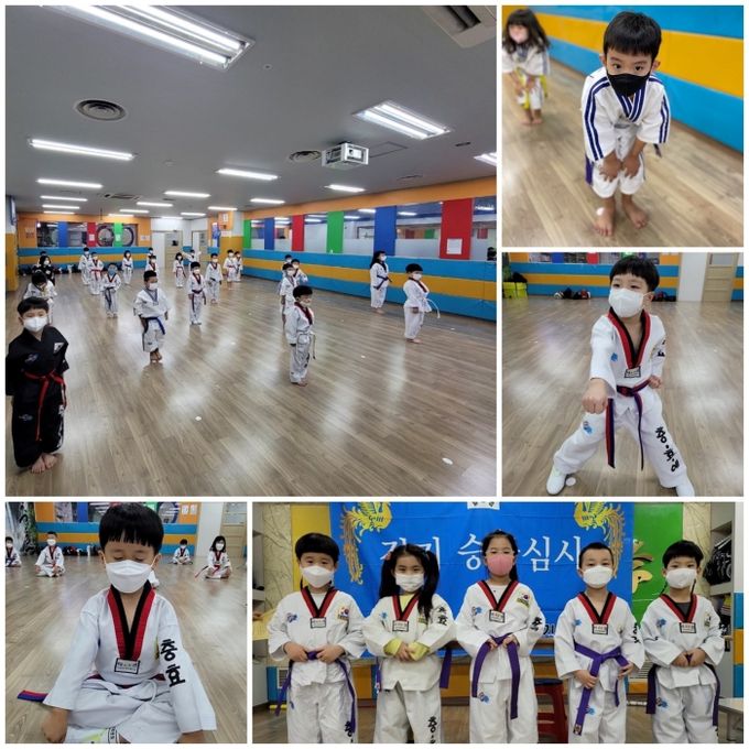 충효 태권도 합기도