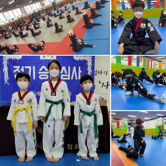 충효 태권도 합기도