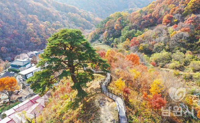 남원시, 지리산 뱀사골로 단풍 구경오세요!