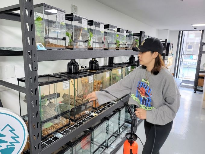 '파충류샵더숲' 김민정 대표