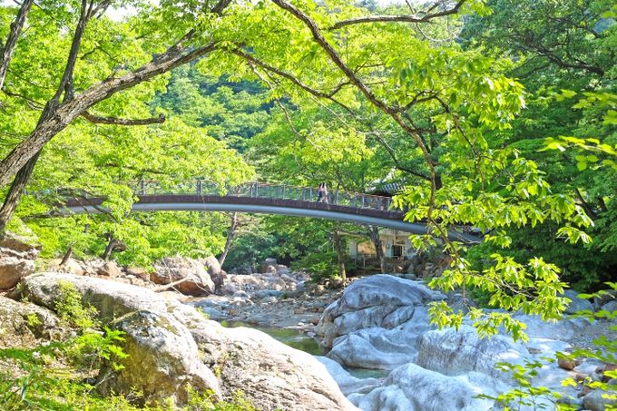 산청 대원사계곡길