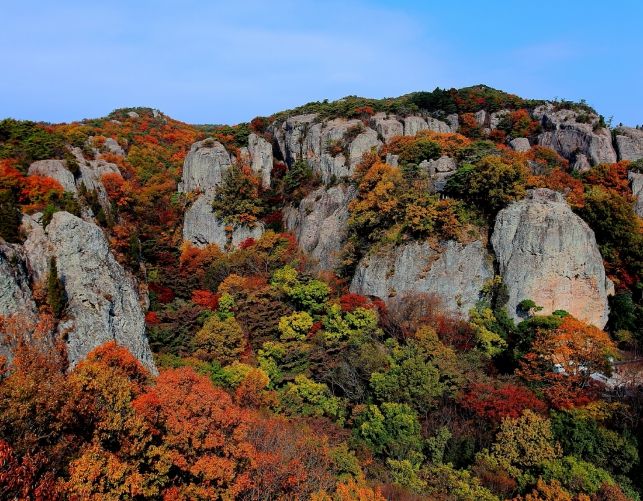 고창 선운사