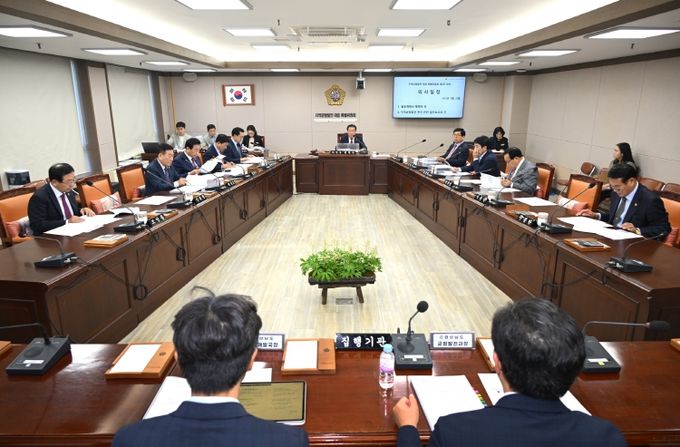 지역균형발전 대응 특별위원회 제2차 회의