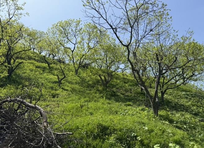 산림소득분야 보조사업