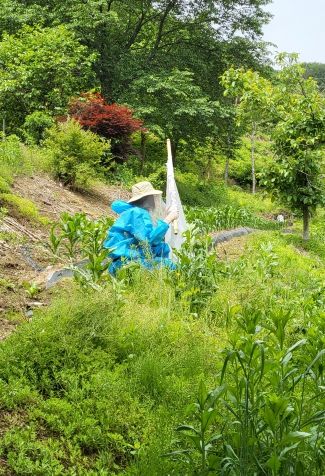 충북보건환경연구원, 진드기 채집