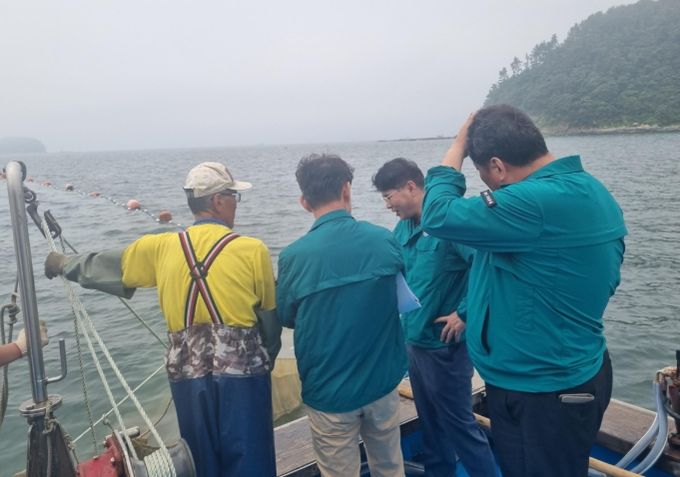 고성군 해역 해파리 현장 점검