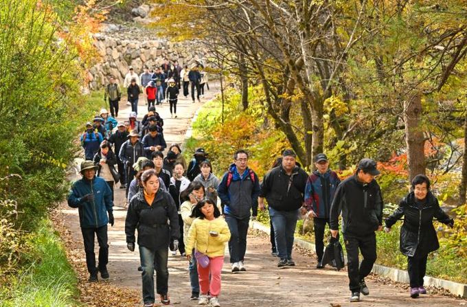 251016(목)사진자료(항골숨바우길 트레킹 대회)_