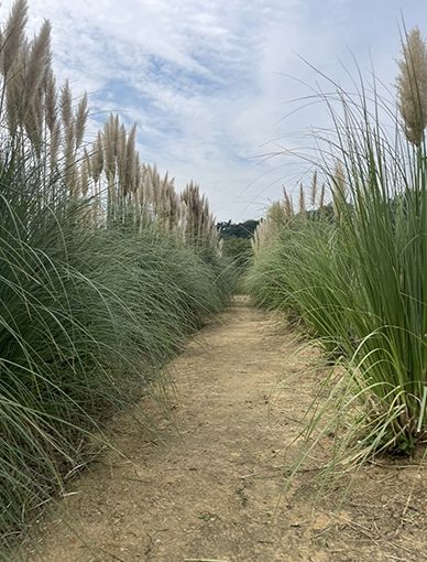 카페정원‘소오소오’ 울산 제9호 민간정원으로 등록