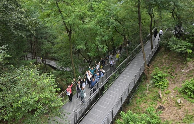 홈즈리더 남산자락숲길 산책