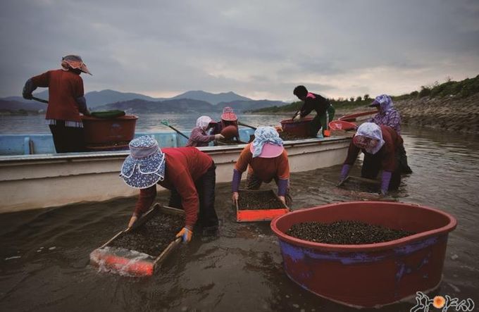 광양시, 남해,하동군과 전통어업 세계화 공동 대응 박차 - 철강항만과(손틀어업)