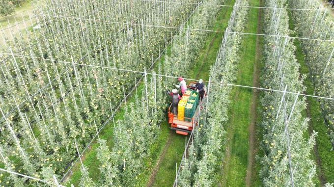 청송군, 2026년도 과수생산분야 지원사업 신청접수