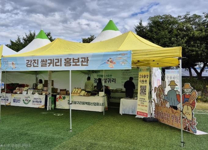 강진만 춤추는 갈대축제장에 마련된 강진 쌀귀리 홍보관.