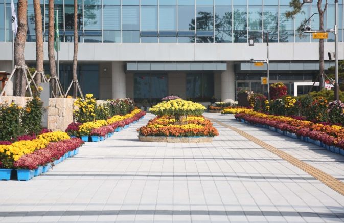 국화 6500여점·볏집아트·포토존 선보여