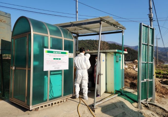 가금농가 소독시설 점검