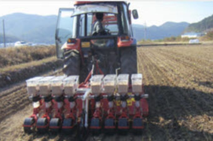 가을철 맥류 적기 파종 모습