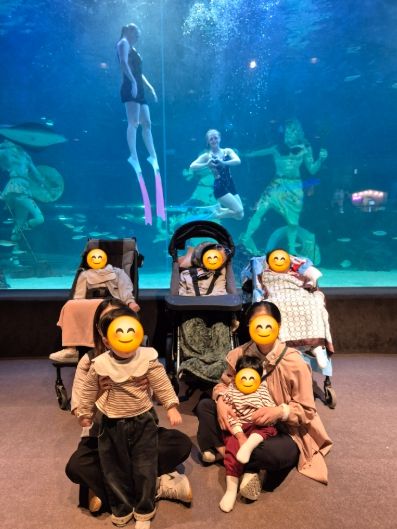 대전동부교육지원청 특수교육지원센터, 바다 속 신비와 함께하다