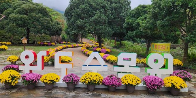 완도수목원 사진