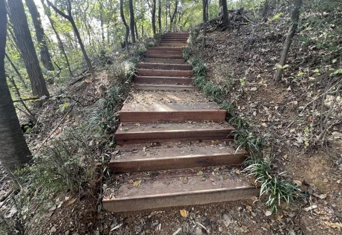 서대문구가 8∼10월 시행한 관내 궁동산 등산로 정비 후 모습