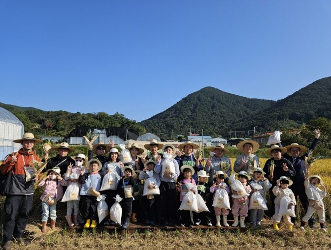 아빠와 아이가 함께한 가을의 추억, 벼 수확 체험