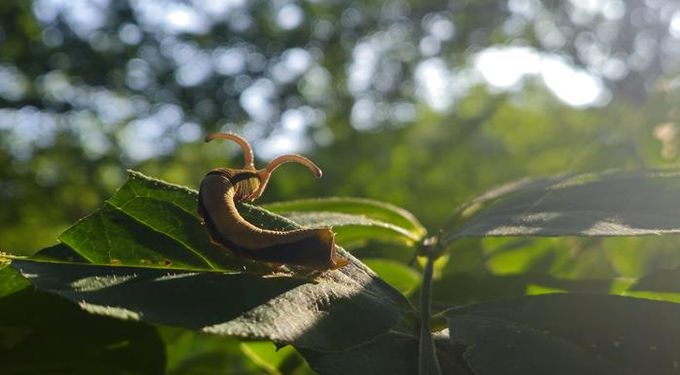 제 19회 전국 숲 해설 경연대회 숲 사진 부문 수상작