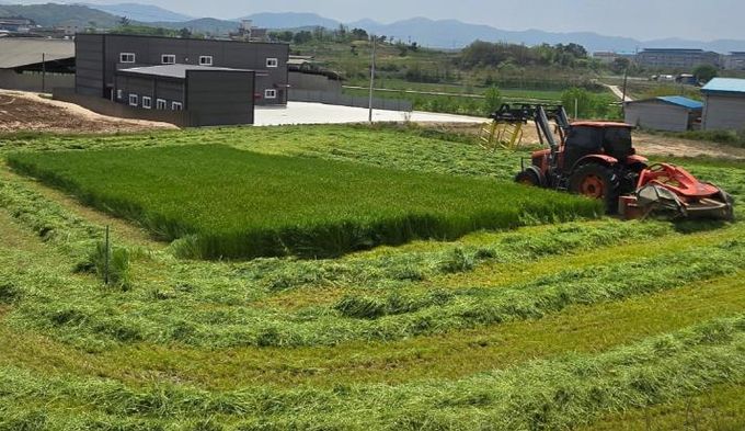 청주시, 조사료 전문단지 조성사업 첫 공모 선정