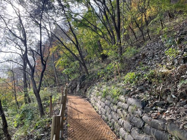 괴강둘레길 전경