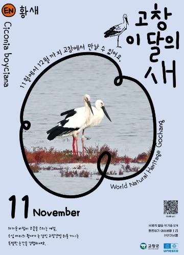 고창군, 11월 고창갯벌 이달의 새로 ‘황새’ 선정