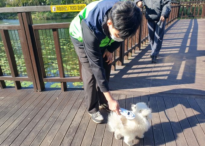 미등록 반려동물 단속