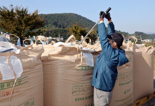 2025년산 공공비축미곡 첫 수매