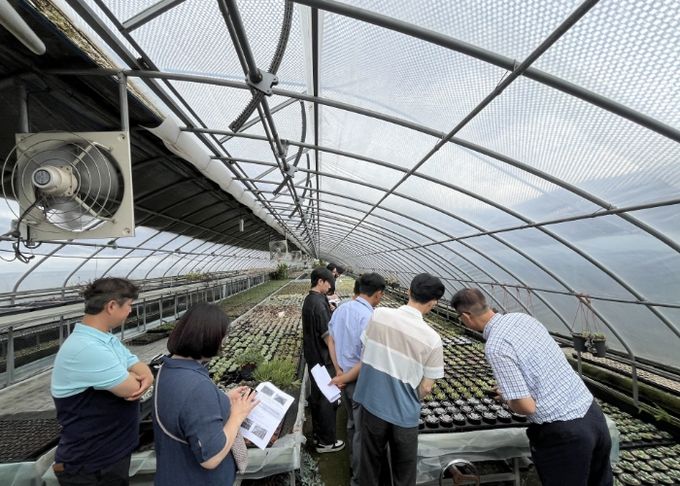 농업기술센터 실증온실에서 커피박과 우분을 혼합한 퇴비 시용 실험이 진행되고 있다.