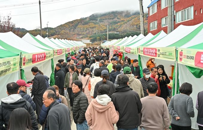 정선군, ‘2025 정선사과축제’성황리 마무리
