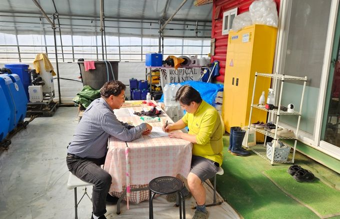 딸기 농가 컨설팅