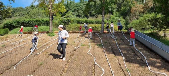 고령군 유아숲체험원 행복한 숲속 배움터로 인기