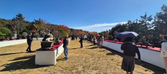 2025 ABFF 컨벤션&대한민국 분재 대전 성황리 폐막..