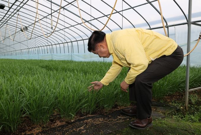 고성군수, 부추재배 농가 현장 찾아 농업인 격려