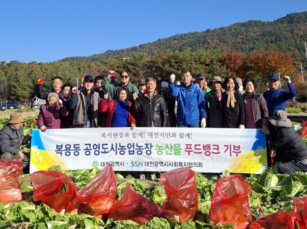 “올해는 드림텃밭에 배추와 무가 자랐어요”