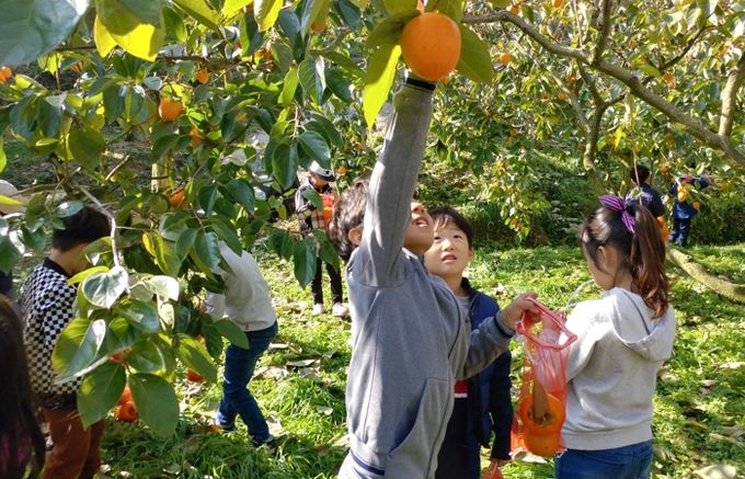 농촌체험휴향마을-곡성 가정마을