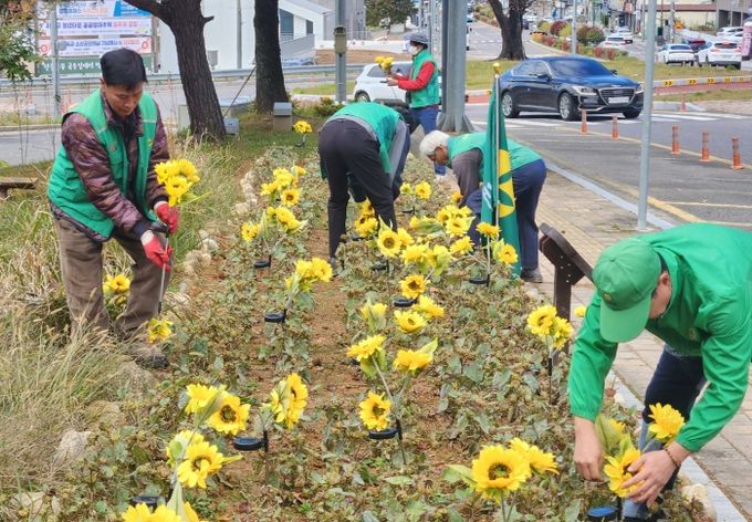 새마을꽃동산 조명 설치