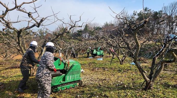 영암군, 내년 영농부산물 안전처리 지원사업 신청 접수
