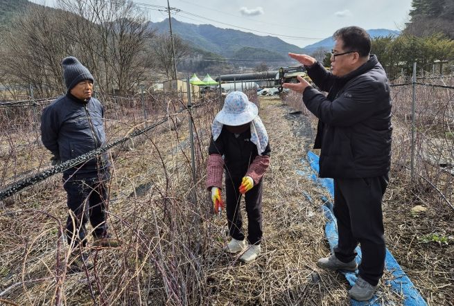 겨울철 농업재해 예방 기술지도