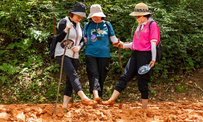 대전시‘맨발걷기 녹색도시’조성 본격화