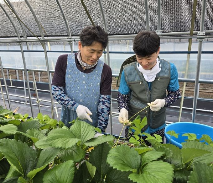 신규농업인 현장실습 선도농가 박성철 대표 농장에서 재배 실습중인 모습