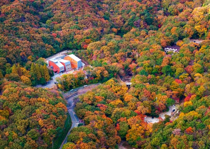 거제 자연휴양림